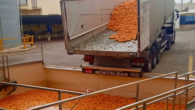 Suntory Beverage & Food Spain: una empresa multinacional que apuesta a la innovación en la producción de cítricos.