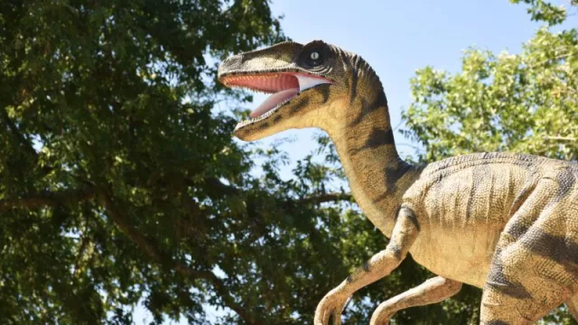 Descubren los restos fósiles de un nuevo dinosaurio en Castellón (un equipo de geólogos identifica una nueva especie de espinosáurido)