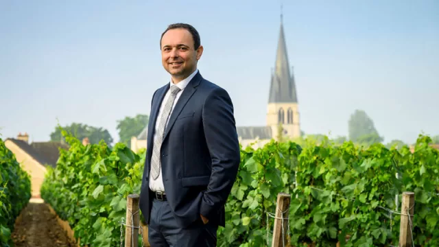 Maximilien Bernardeau es nombrado jefe de Bodega y director de Vinos del Grupo Laurent-Perrier