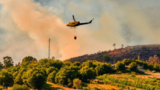 La Generalitat liderará un clúster valenciano para desarrollar metodologías medioambientales (para reducir el riesgo en incendios forestales)