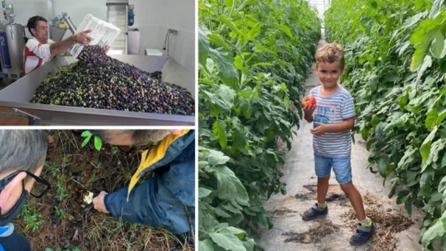 El secreto mejor guardado de una tierra única: la menorca más rural