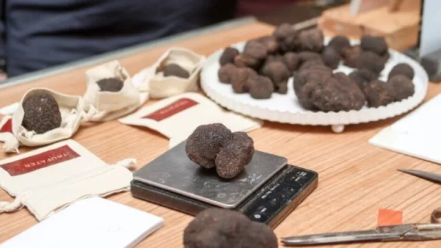 La trufa negra de Andilla se consolida como producto gourmet de la provincia de Valencia en Fivatruf 2024