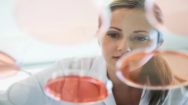 ROVI confía en Atos para el outsourcing de sus sistemas IT y para la gestión del puesto de trabajo