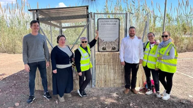 La Pobla de Farnals instala un refugio para gatos en el polígono industrial (la construcción dará cobijo a las mascotas de la colonia felina de la zona)
