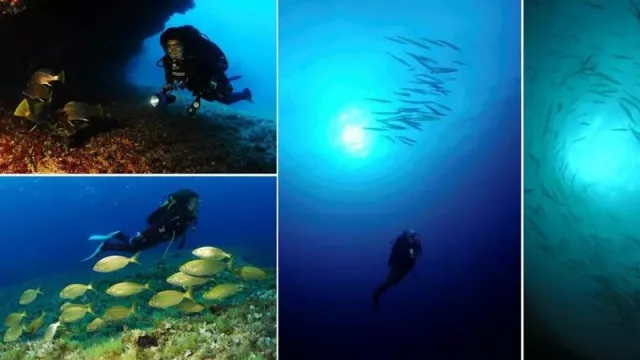 Formentera bajo el agua... ¡es para vivirla!: la pequeña de las Pitiusas posee uno de los ecosistemas submarinos más ricos y bellos del mundo