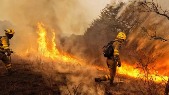 La Generalitat aprueba 7,9 millones de euros en subvenciones directas a los ayuntamientos para actuaciones en prevención de incendios y gestión forestal
