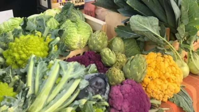 Comercio aprueba un primer paquete de ayudas por valor de 4,5 millones de euros a ayuntamientos, organizaciones de comerciantes y asociaciones de consumidores