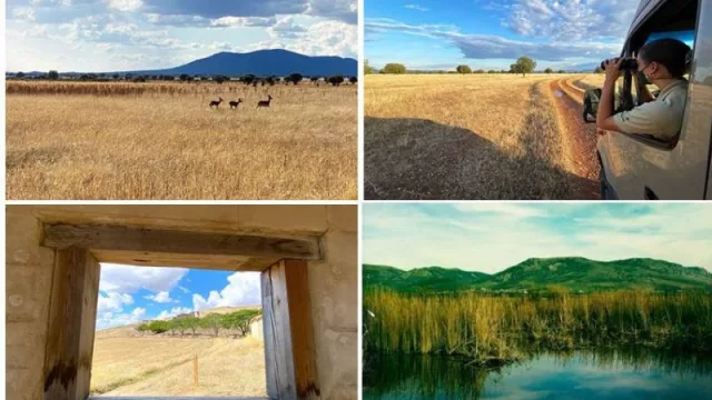 Entreparques: un sinfín de experiencias este otoño (un destino excepcional que combina naturaleza, historia, cultura y gastronomía en sus 22 municipios)