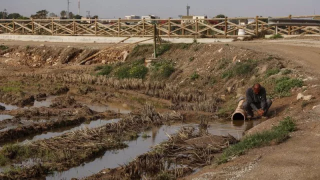 Agroseguro abona 2,4 millones de euros por daños de Dana en cultivos de Valencia