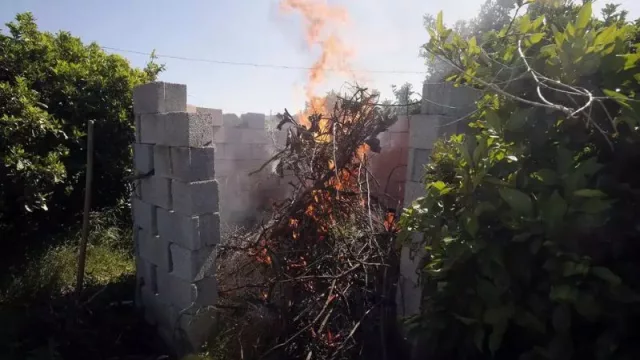 La Generalitat autoriza la quema residuos vegetales agrícolas o forestales generados tras la riada por razones fitosanitarias
