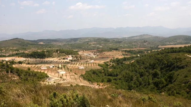 Agricultura publica las bases de las ayudas a la cooperación que impulsarán la innovación, digitalización y sostenibilidad de las zonas agrícolas y rurales