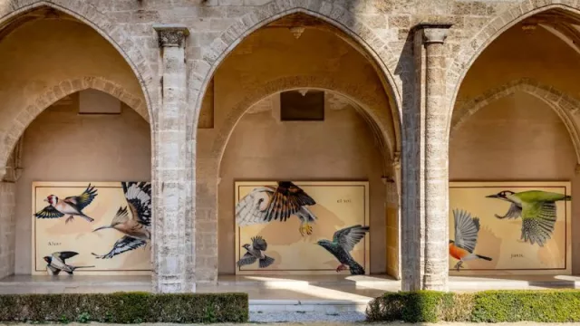 El Consorci de Museus organiza 28 exposiciones con obra de más de 160 artistas para apoyar al sector creativo y a los artistas afectados por la riada