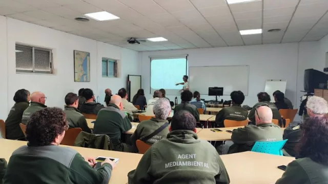 La Generalitat forma a los agentes medioambientales en protección de árboles monumentales de la Comunitat Valenciana
