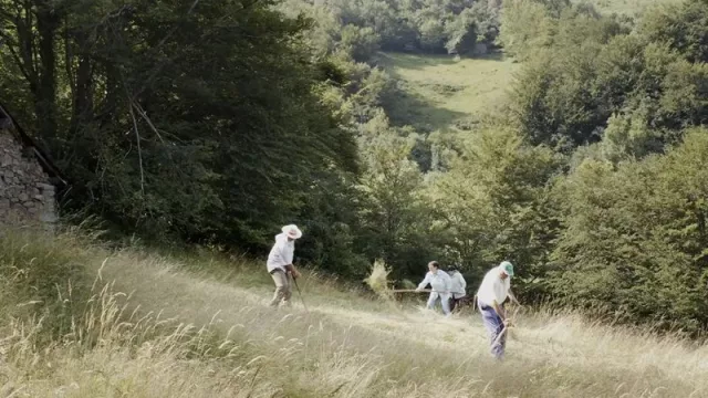 El Consorci de Museus y el Centro Cultural Las Cigarreras inauguran el proyecto de exposiciones audiovisuales 'Negre' 2025