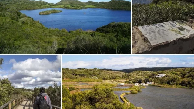 El corazón verde de Menorca: S´Albufera des Grau