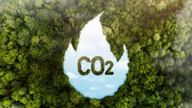 La nueva normativa en España para medir y registrar la huella de carbono entra en vigor en junio