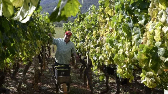 Agricultura convoca ayudas por 4,3 millones para las organizaciones agrarias más representativas