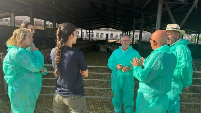 Agricultura destina 5,4 millones de euros para 300 explotaciones ganaderas de la Comunitat Valenciana