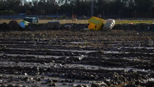 Más de 2.400 agricultores y ganaderos afectados por la Dana recibirán la ayuda extraordinaria de 9,8 millones