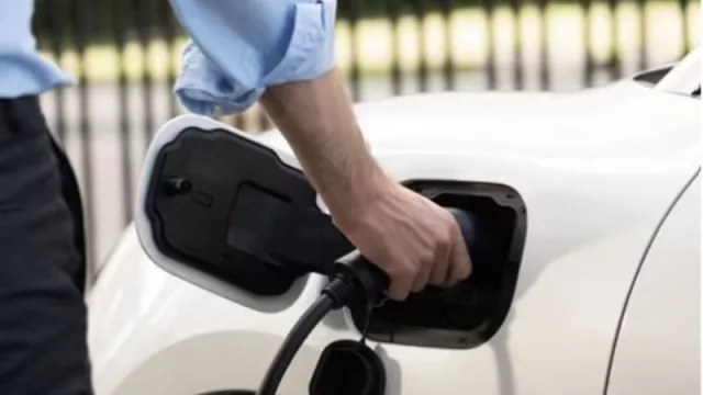 Tesla, Volkswagen, BYD y Stellantis, obligadas por Italia a ser "más claras" sobre sus eléctricos