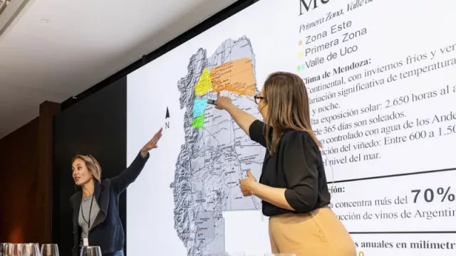 Más de 30 bodegas españolas participarán del primer Salón de Vinos de España en Argentina