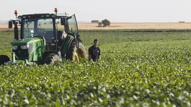 Megainversión en Timbúes: Molinos Agro y ACA aportarán € 437,6 millones para una nueva planta