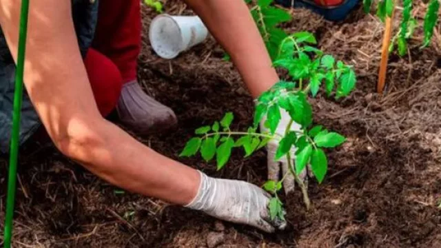Valencia reúne a expertos en agricultura para abordar los retos de la gestión sostenible del suelo